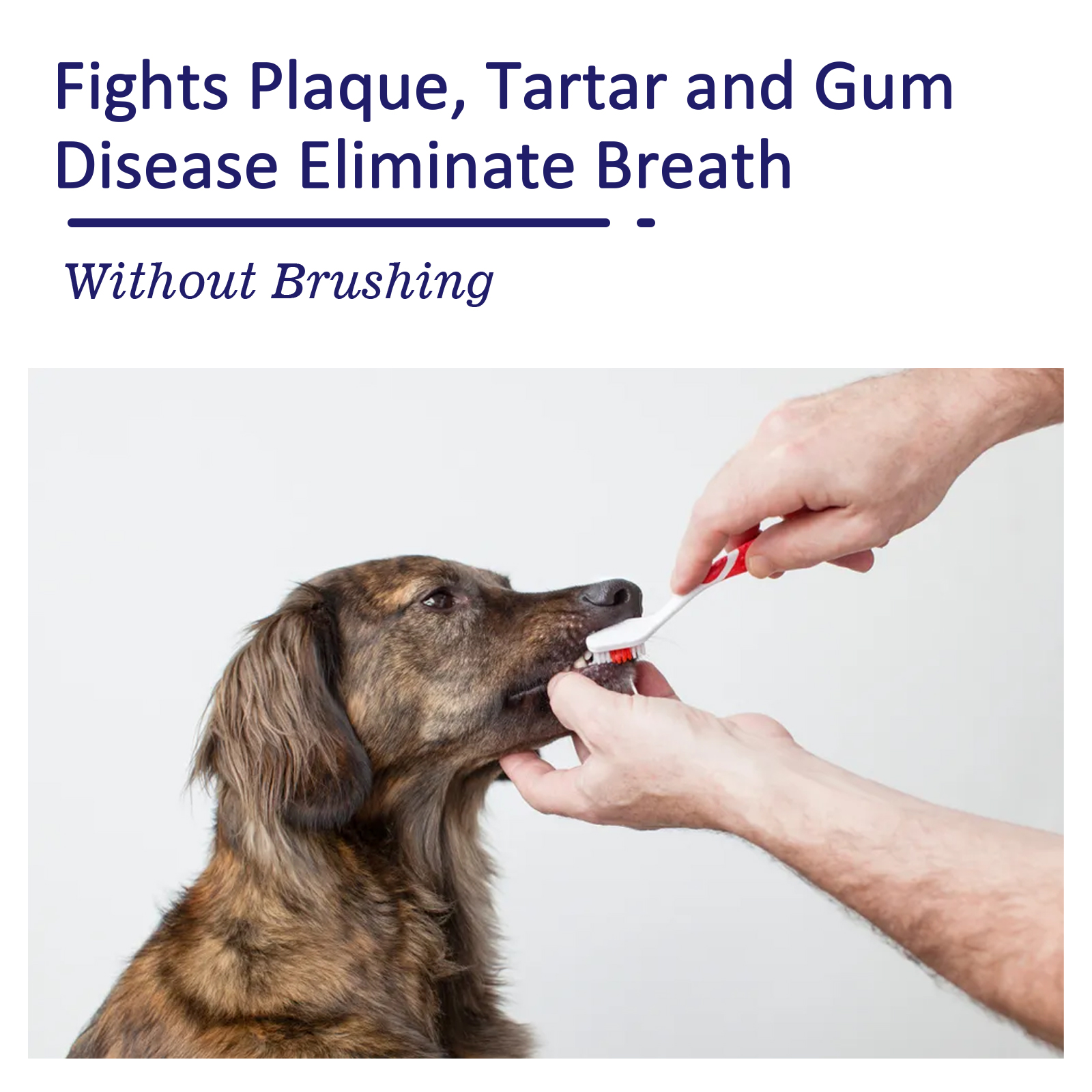 Pet Toothpaste Reduce Tartar R - огляд і ціна Teeth Whitening Cream