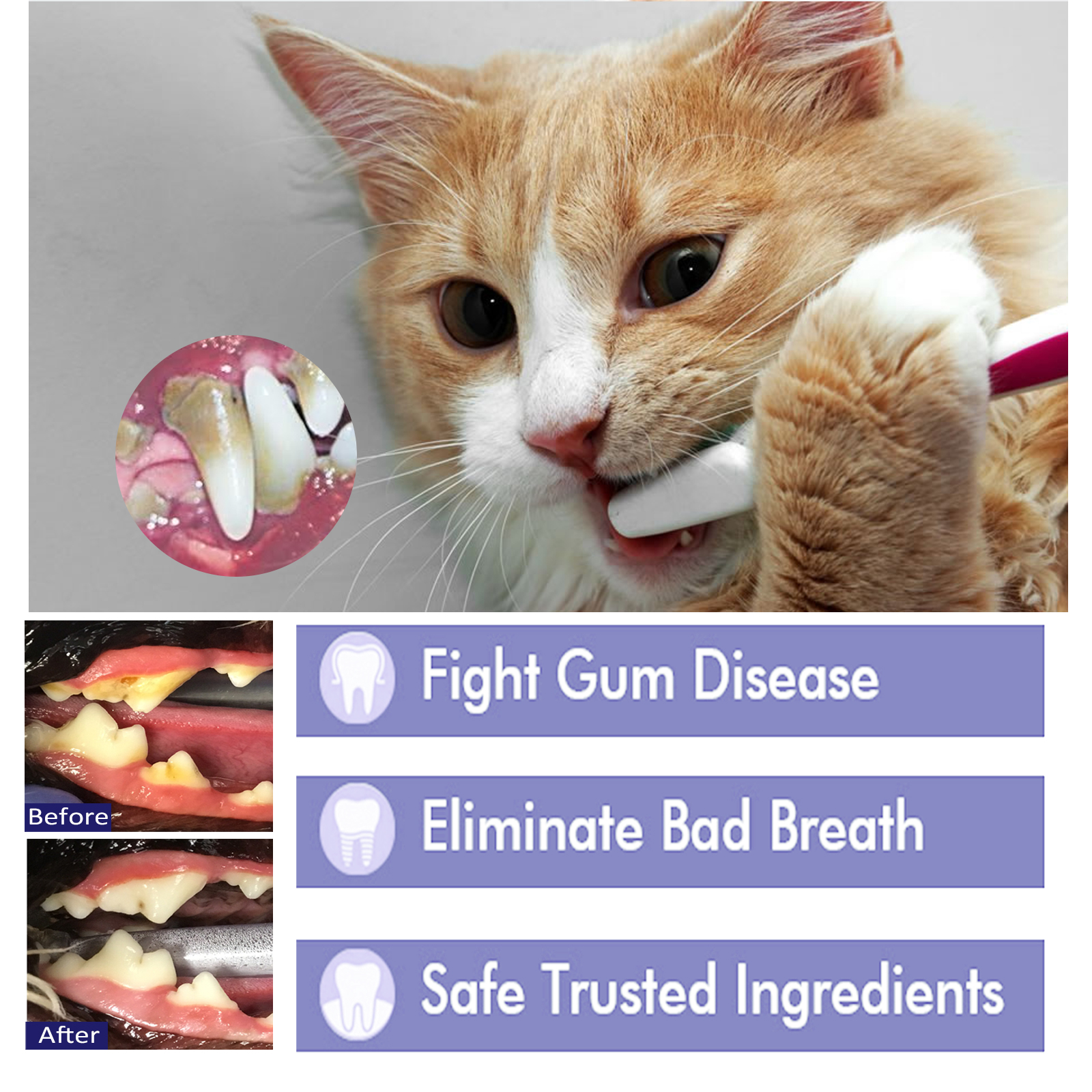 Pet Toothpaste Reduce Tartar R - огляд і ціна Teeth Whitening Cream