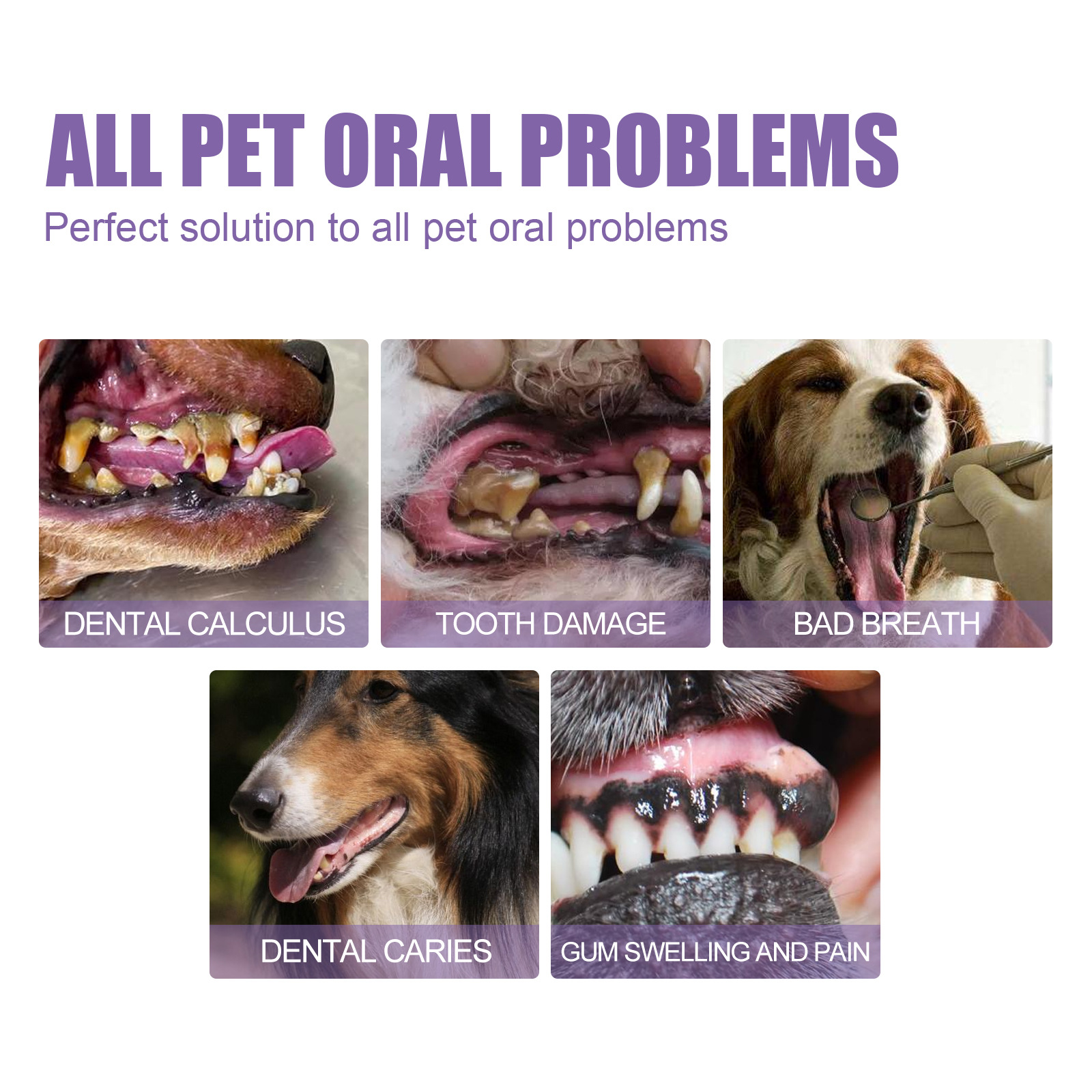 Pet Oral Repair Gel Puppy Tart - огляд і ціна Teeth Whitening Cream