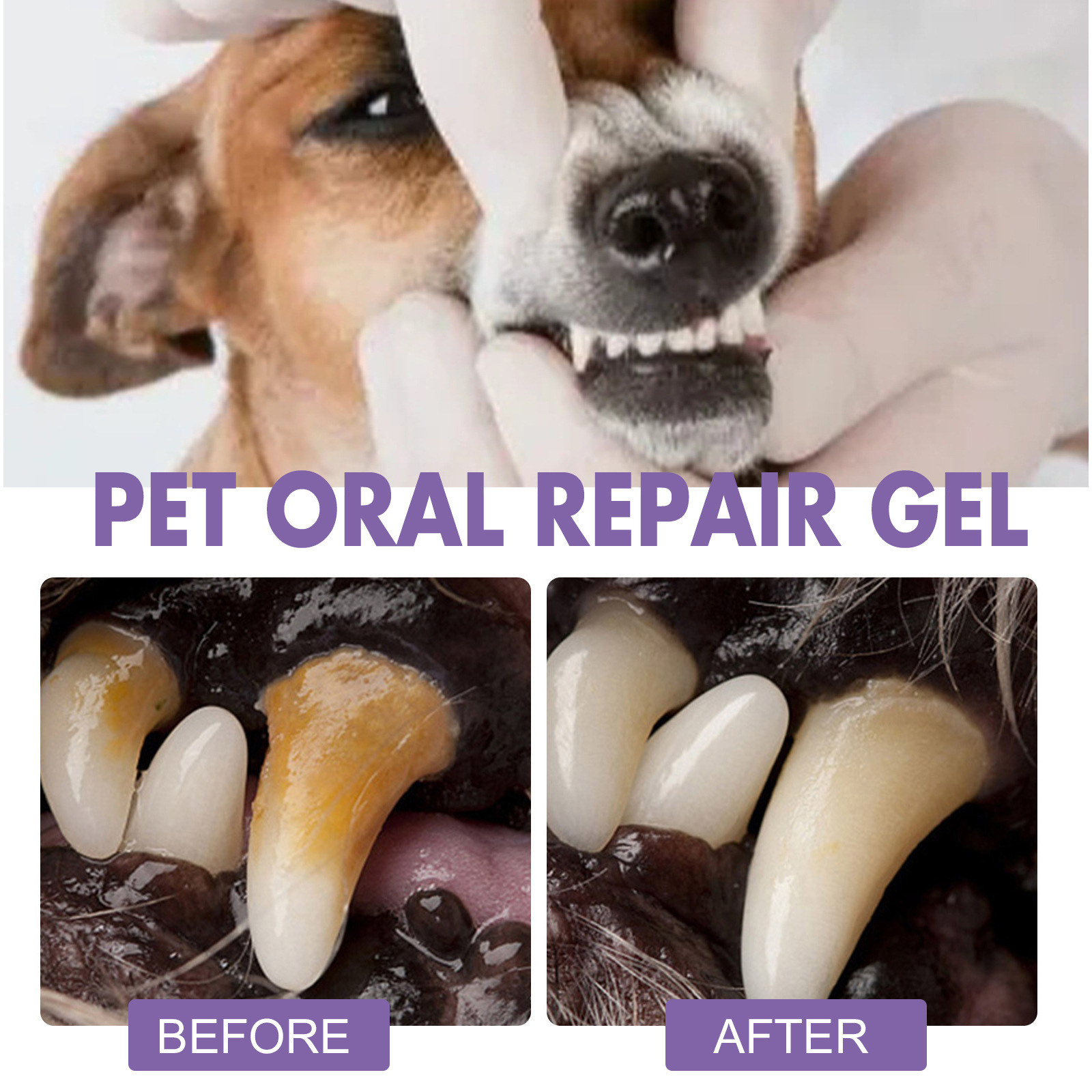 Pet Oral Repair Gel Puppy Tart - огляд і ціна Teeth Whitening Cream